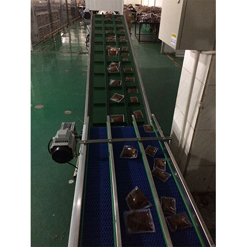 網(wǎng)帶輸送機