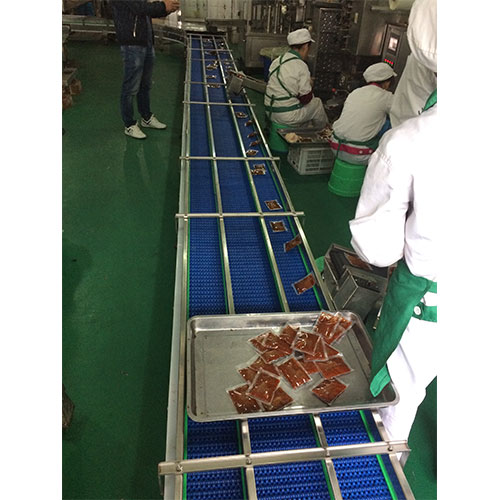 網(wǎng)帶輸送機